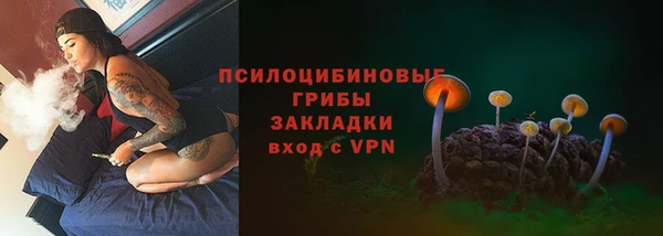 COCAINE Белокуриха