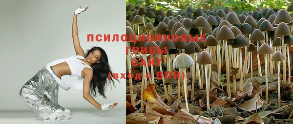 Альфа ПВП Беломорск
