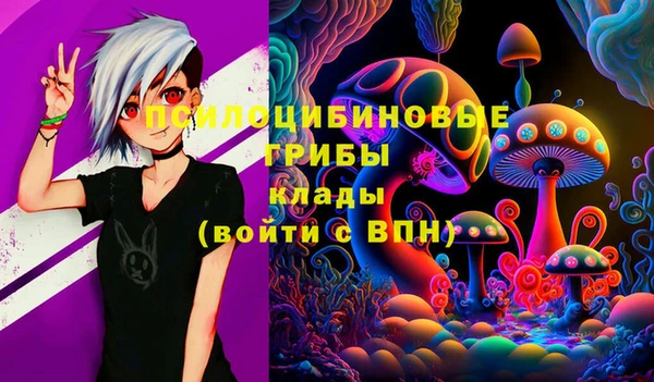Альфа ПВП Беломорск