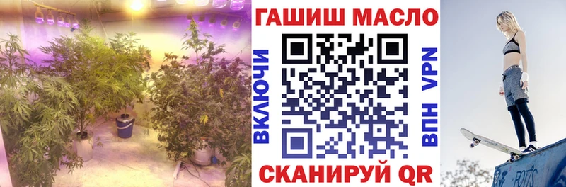 Дистиллят ТГК вейп  Плёс 