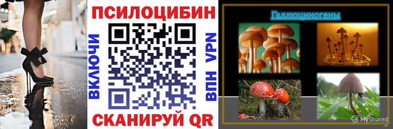 Галлюциногенные грибы GOLDEN TEACHER  mega онион  Плёс 